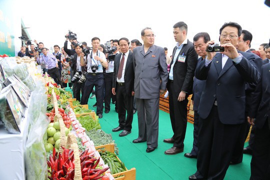 Đoàn đại biểu cấp cao Triều Tiên thăm Khu Nông nghiệp ứng dụng công nghệ cao VinEco thuộc Tập đoàn Vingroup tại TP Hải Phòng. Ảnh: Trọng Đức